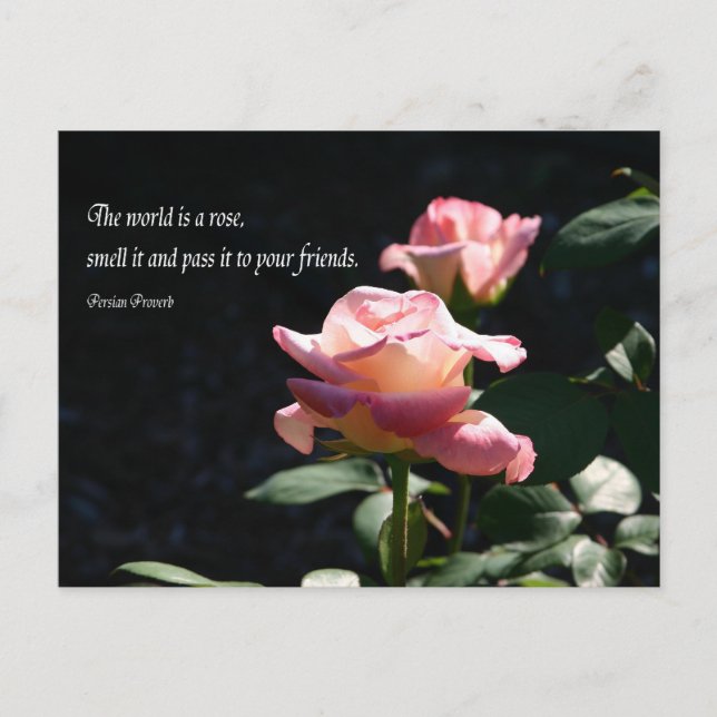 Carte Postale rose (Devant)