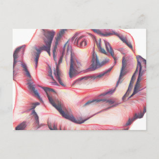 Carte Postale Rose