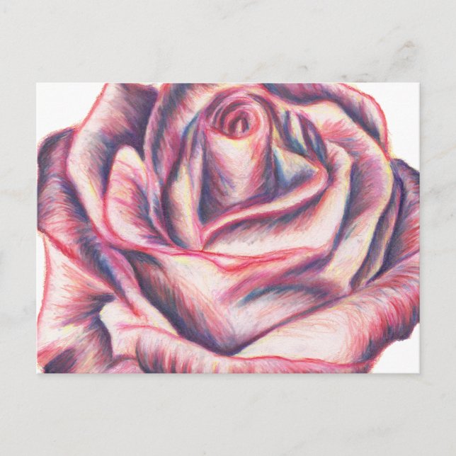 Carte Postale Rose (Devant)