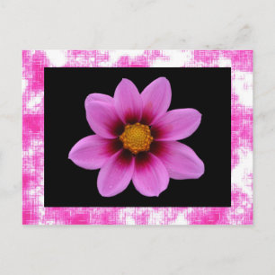 Carte postale rose