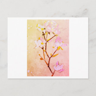 Carte Postale Rose