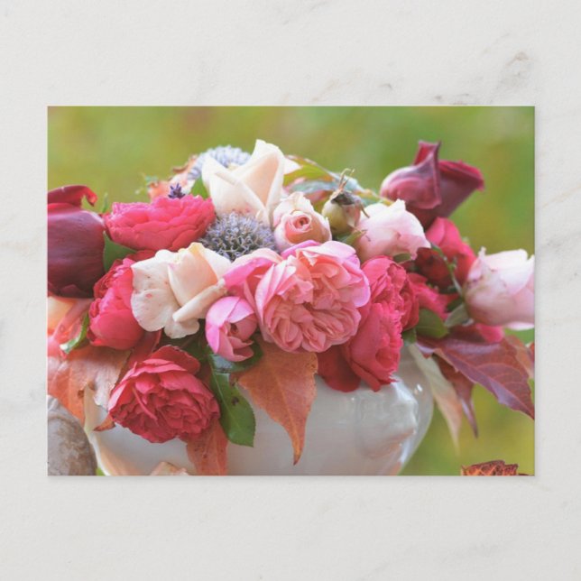 Carte Postale Rose (Devant)