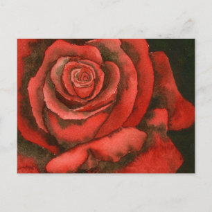Carte postale rose 3