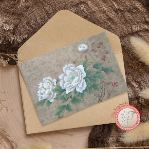 Carte Postale Rose blanche