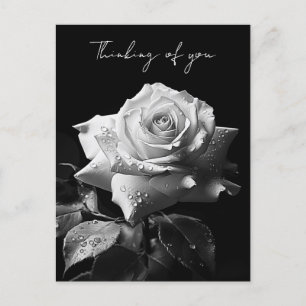 Carte Postale Rose blanche à longue tige photo B&W