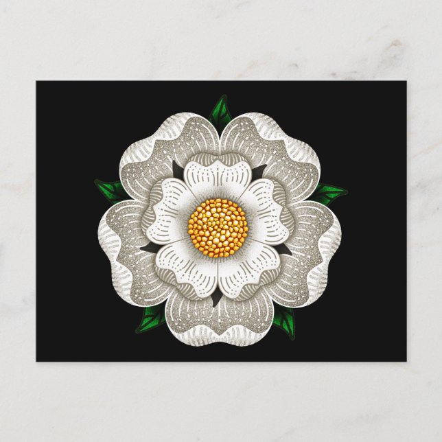 Carte Postale Rose blanche de York (Devant)