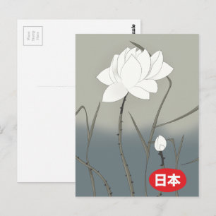 Carte Postale Rose Blanche Japonaise