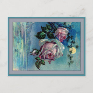 Carte postale Rose clair de lune