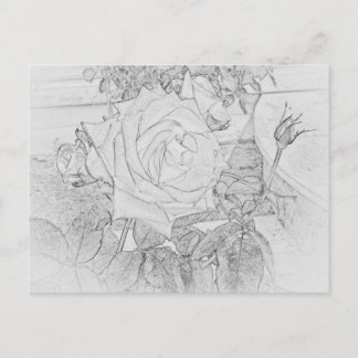 Carte postale rose de feuille de coloration