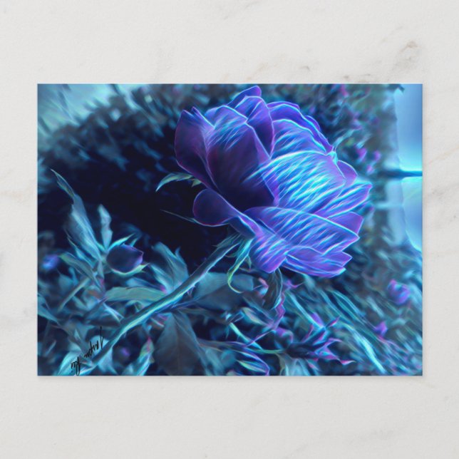 Carte postale Rose de jardin électrique (Devant)