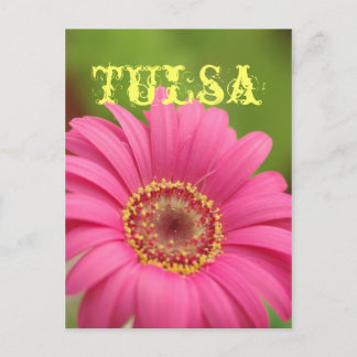 Carte postale rose de marguerite de Gerbera de
