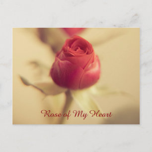 Carte Postale Rose de mon cœur