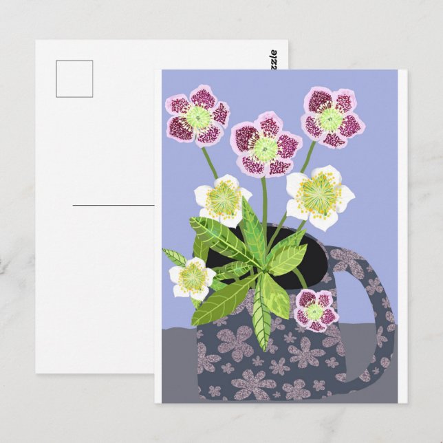 Carte postale Rose de Noël (Devant / Derrière)