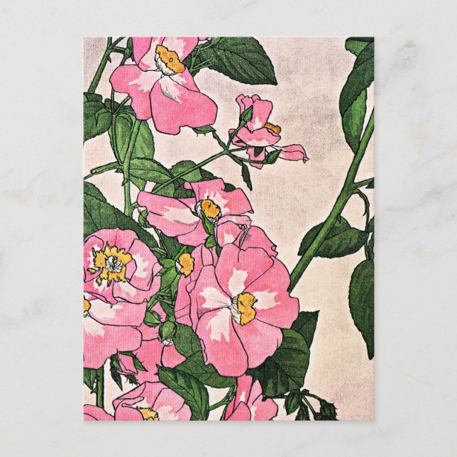 Carte Postale Rose des Prairies, jolie illustration florale, (Devant)