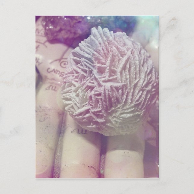 Carte Postale Rose du désert (Devant)