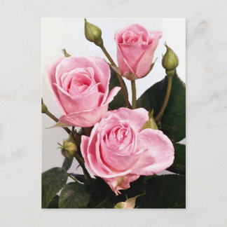 Carte Postale Rose élégant 2