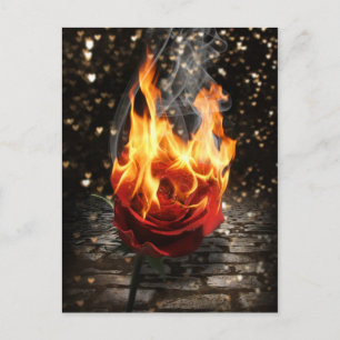 Carte Postale Rose en feu, Rose brûlé