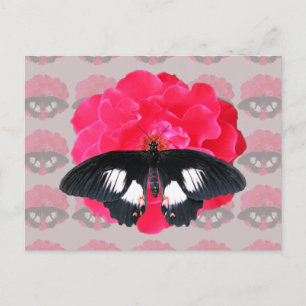 Carte Postale Rose et Swallowtail
