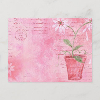 Carte postale rose, Fleur