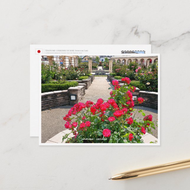 Carte Postale Rose Garden (Devant/Arrière en situation)