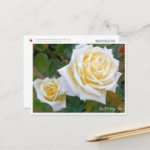 Rose Garden