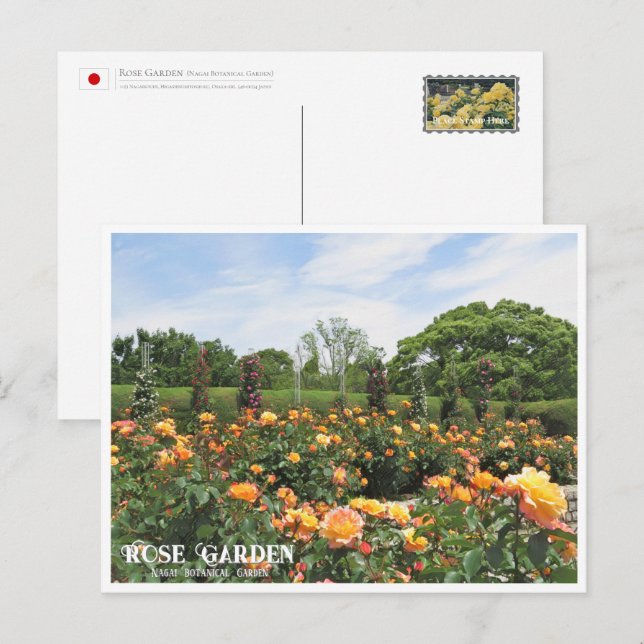 Carte Postale Rose Garden (Nagai Botanical Garden) ポストカード (Devant / Derrière)