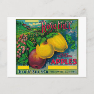 Carte Postale Rose Hill Apple Crate LabelWatsonville, CA