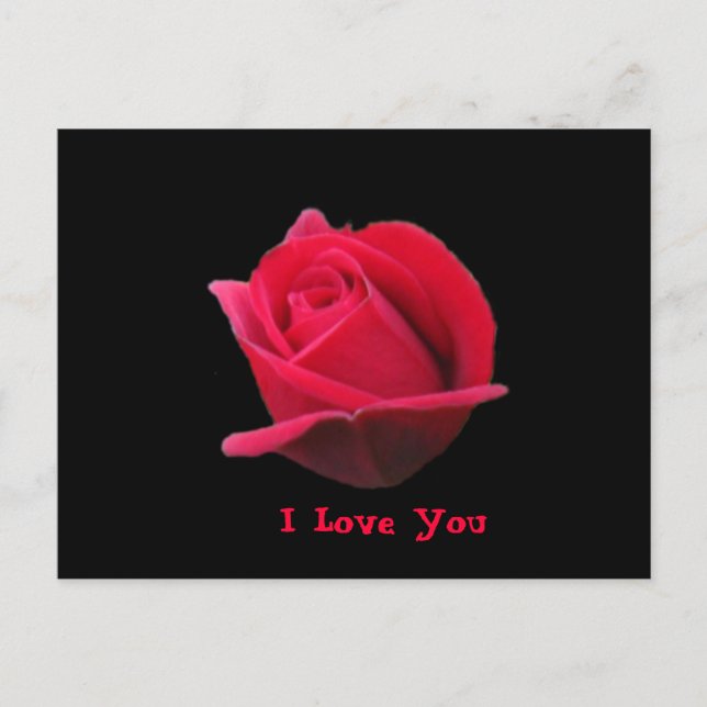 Carte postale Rose I Love You (Devant)
