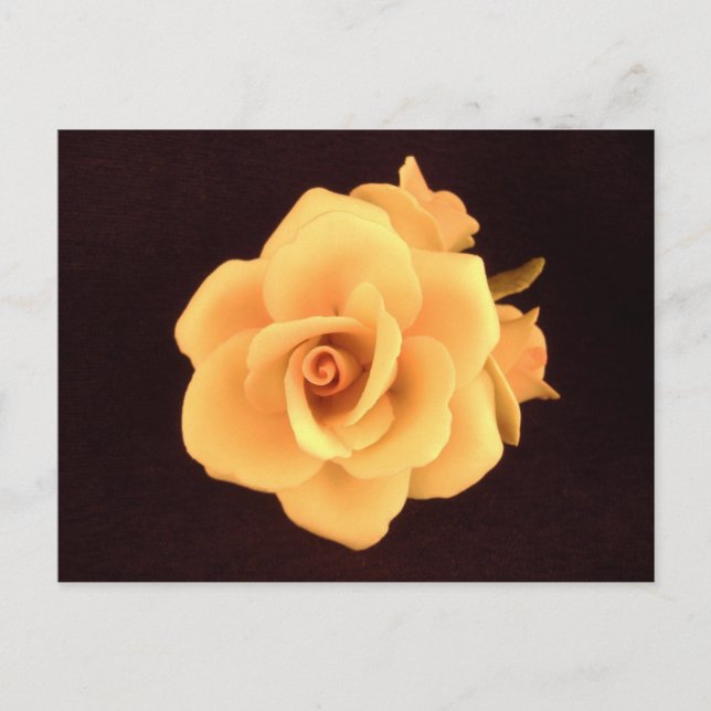 Carte Postale Rose jaune 2004 Photo (Devant)
