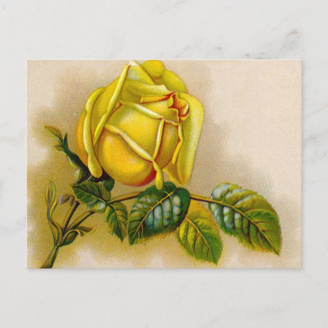 Carte Postale Rose jaune Antique Vintage Imprimer Art (Devant)