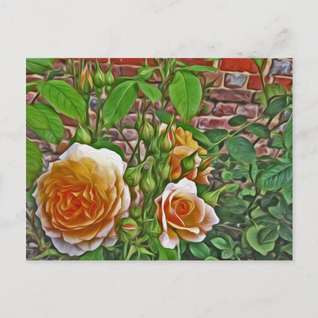 Carte Postale Rose jaune au jardin de Hampton Court (Devant)