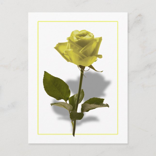 Carte Postale Rose jaune de l'amitié (Devant)