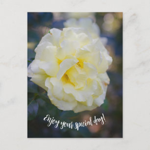 Carte Postale Rose jaune pâle