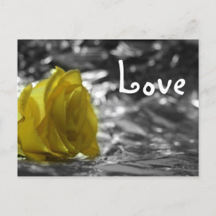 Carte Postale Rose Jaune Sur Le Côté Gauche Argent Amour Arrière