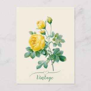 Carte Postale Rose jaune vintage