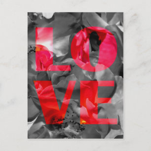 Carte postale Rose Love