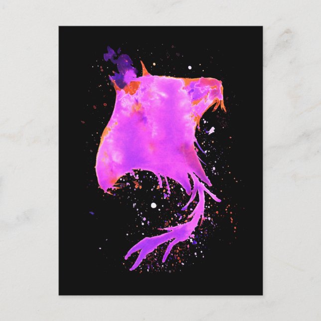 Carte Postale Rose Manta Ray (Devant)