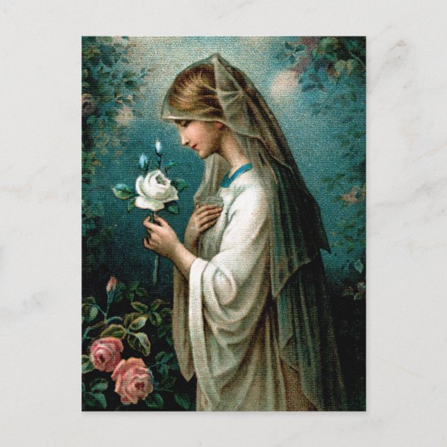 Carte postale : Rose mystique (Devant)
