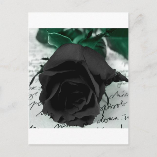 Carte Postale Rose noir Abstrait (Devant)