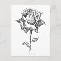Rose noir et blanc