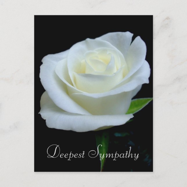 Carte Postale Rose noire et blanche florale Sympathie la plus pr (Devant)