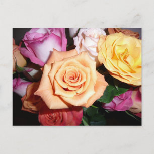 Carte Postale Rose orange