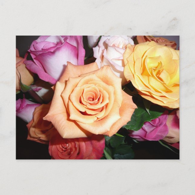 Carte Postale Rose orange (Devant)