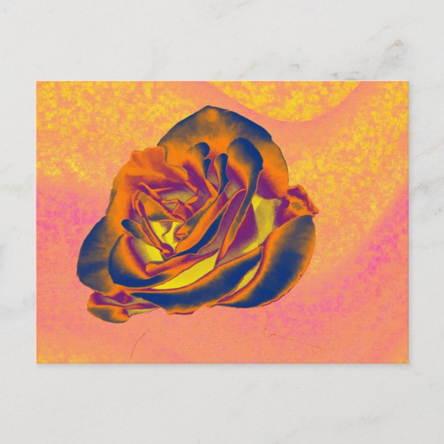 Carte postale Rose orange (Devant)