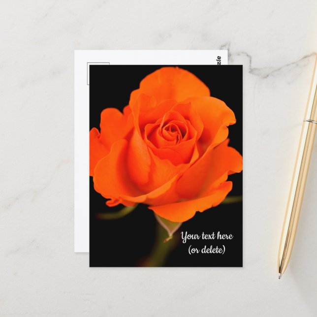 Carte postale rose orange unique (Devant/Arrière en situation)