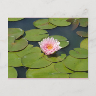 Carte postale rose pâle et jaune