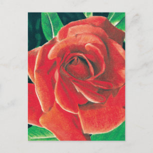Carte postale rose par Jacob Grimm