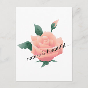 Carte Postale Rose (Pêche) - Belle nature