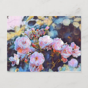 CARTE POSTALE ROSE PEONIES