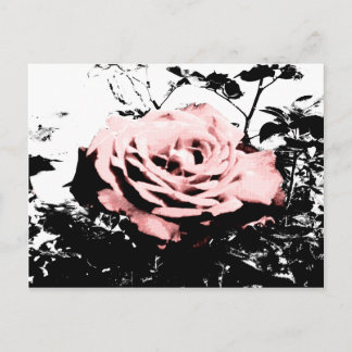 Carte Postale Rose rétro